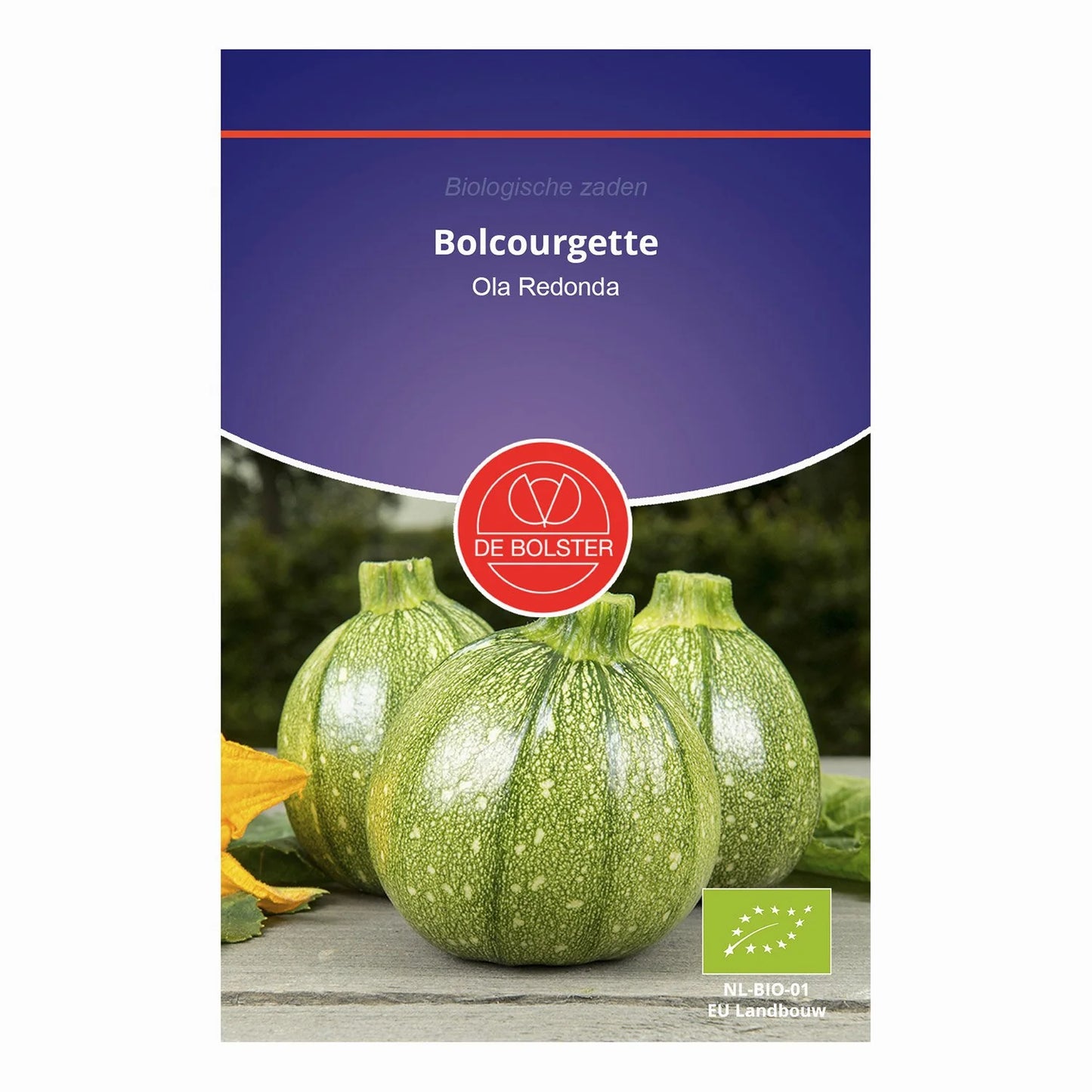 Bolcourgette 'Ola Redonda' De Bolster