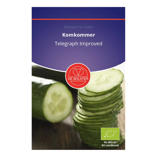Komkommer 'Telegraph Improved' De Bolster