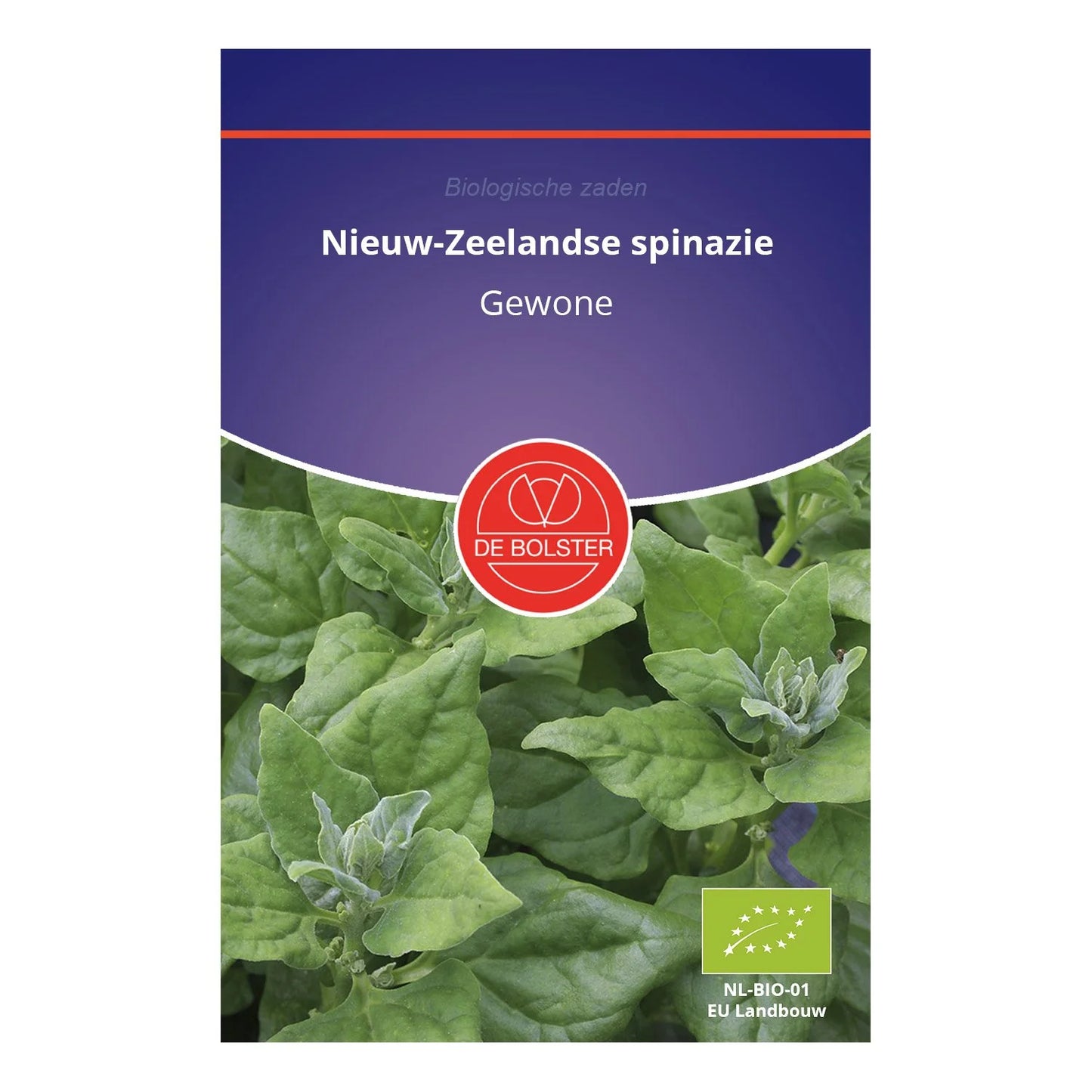 Nieuw-Zeelandse spinazie De Bolster