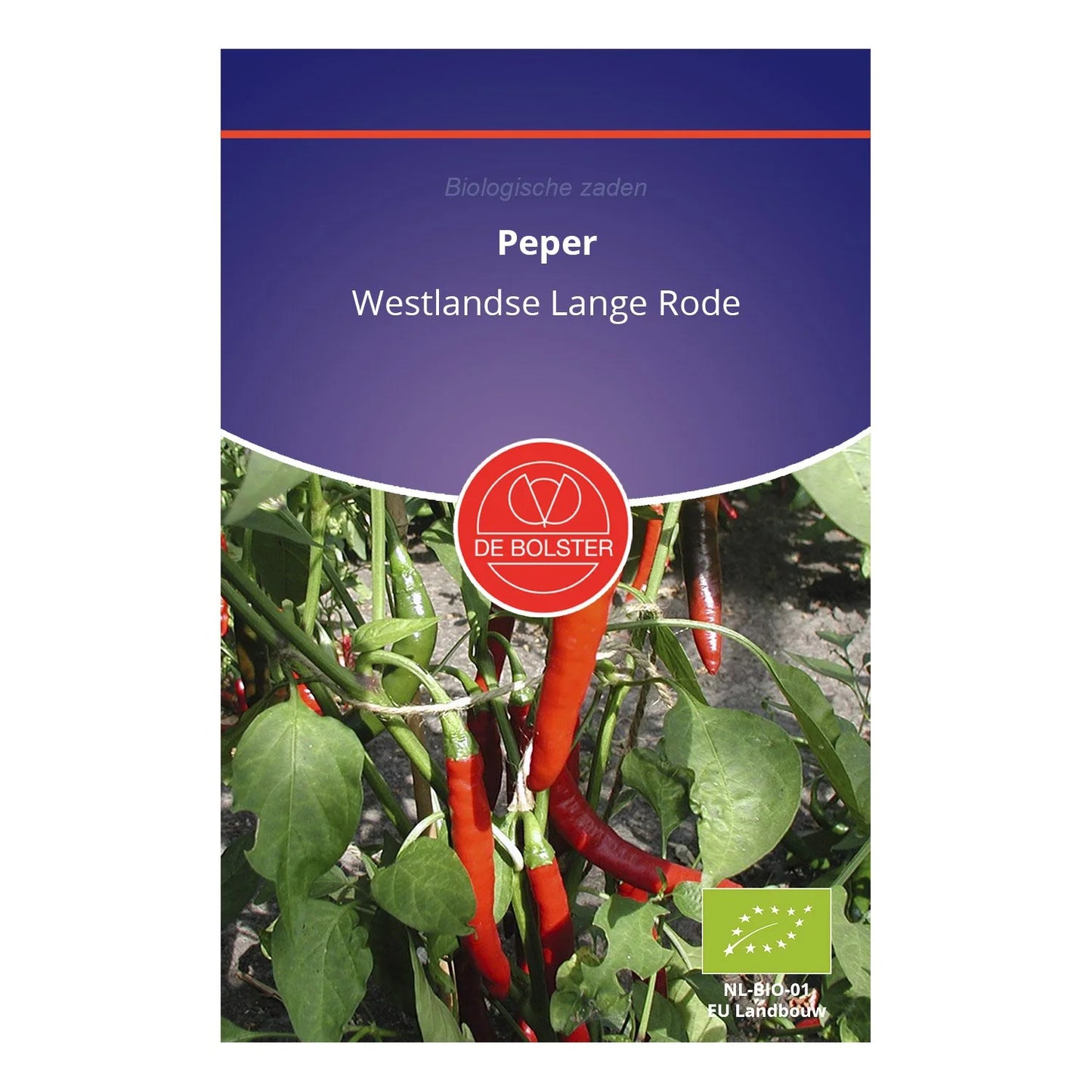 Peper 'Westlandse Lange Rode' De Bolster