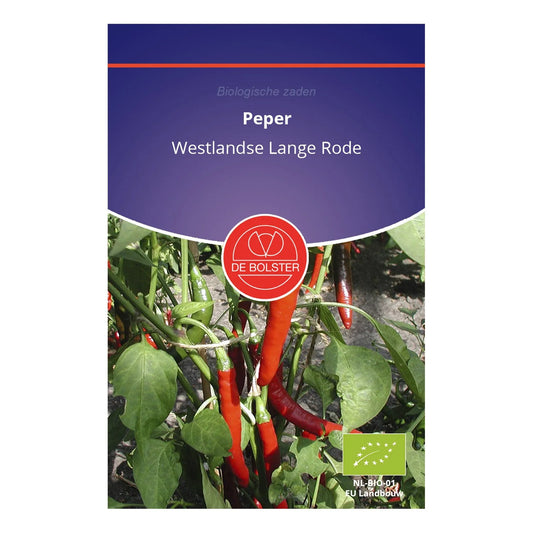 Peper 'Westlandse Lange Rode' De Bolster
