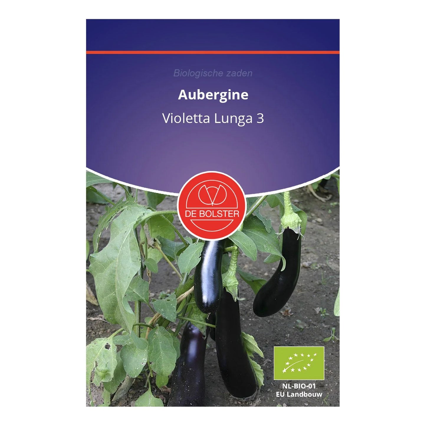 Aubergine 'Violetta Lunga 3'