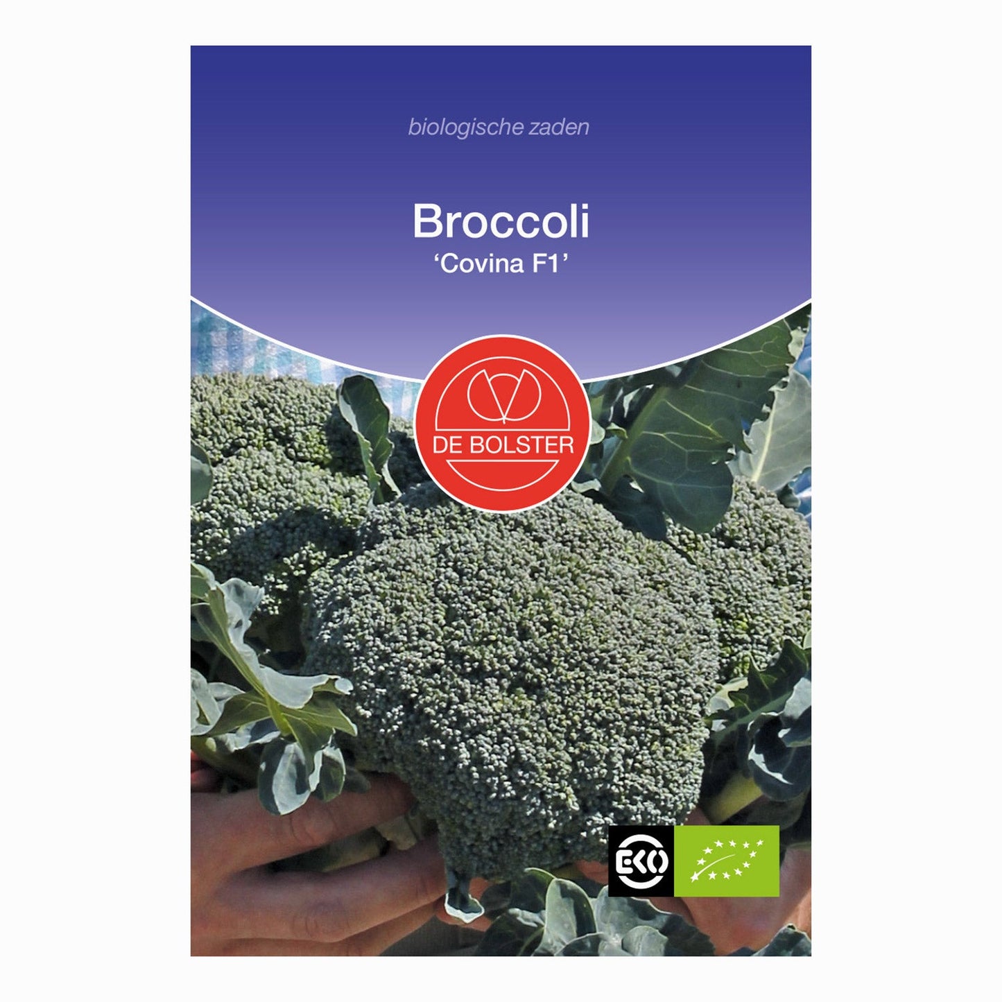 Broccoli 'Covina F1' De Bolster