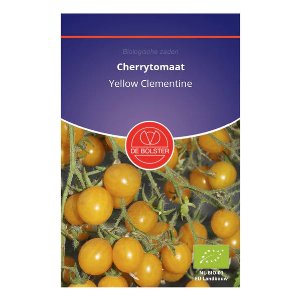 Cherrytomaat 'Yellow Clementine' De Bolster