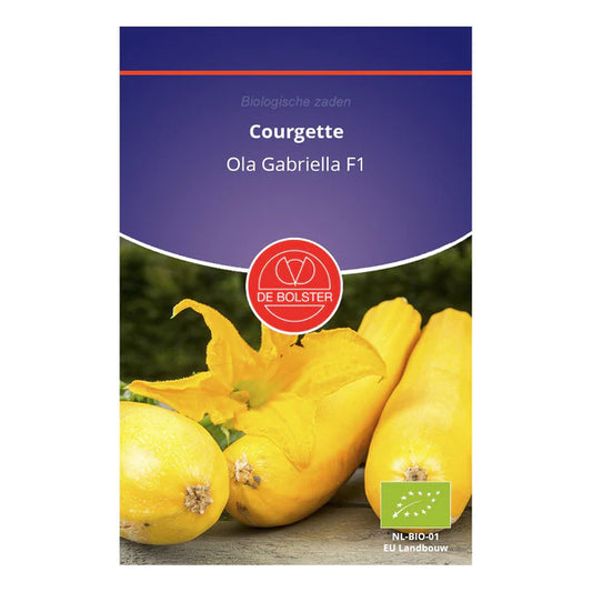 Courgette "Ola Gabriella F1" De Bolster