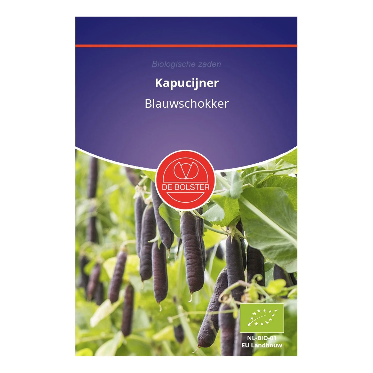Kapucijner 'Blauwschokker' De Bolster