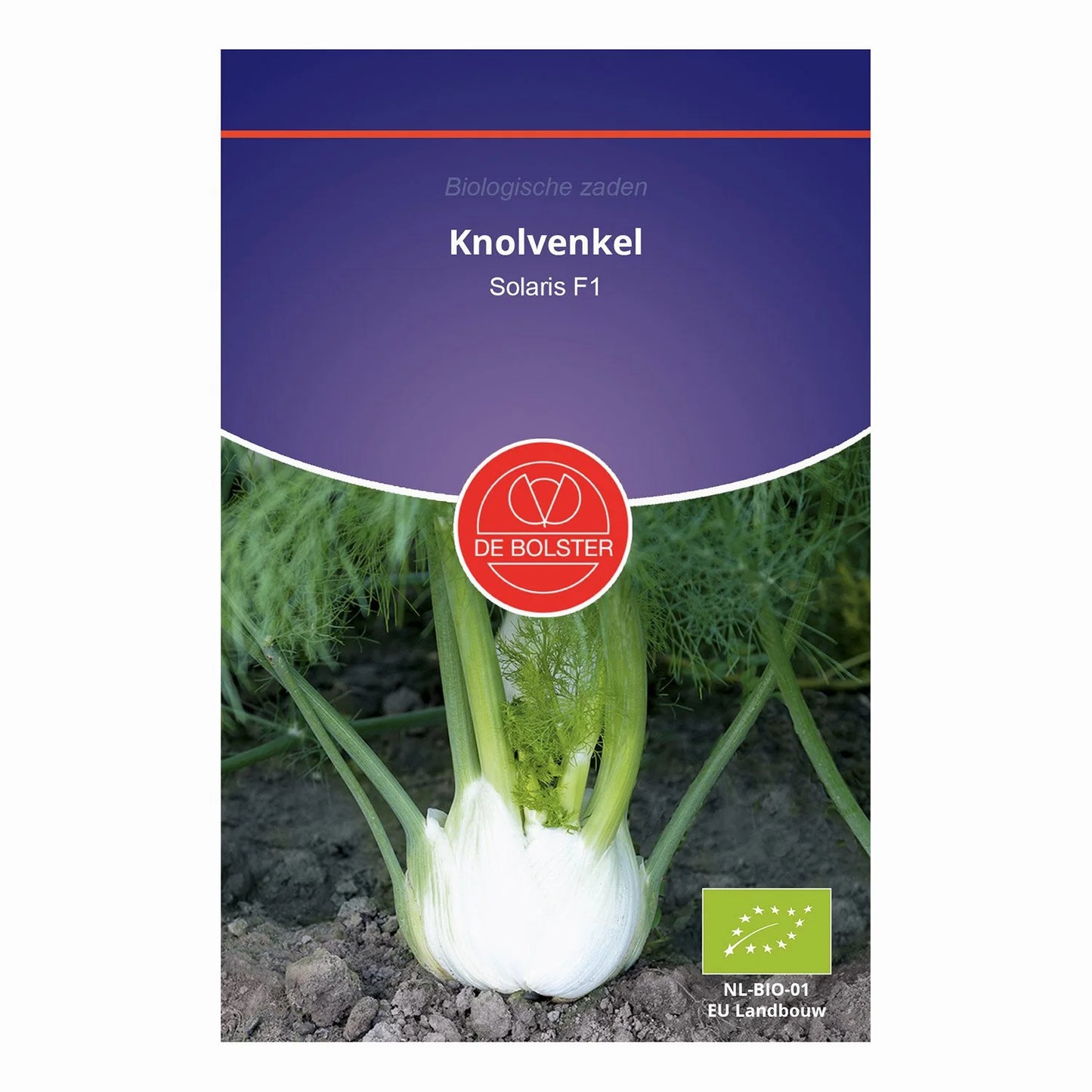Knolvenkel 'Solaris F1' De Bolster