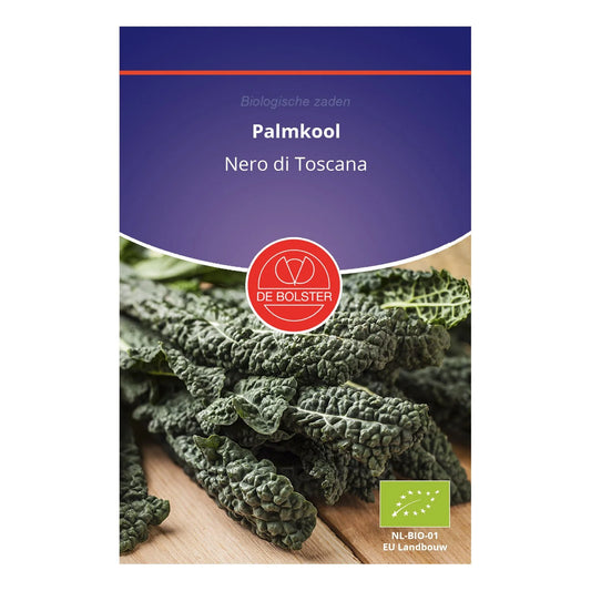 Palmkool 'Nero di Toscana' De Bolster