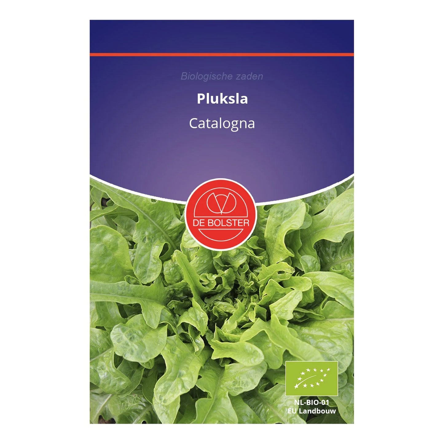 Pluksla 'Catalogna' De Bolster