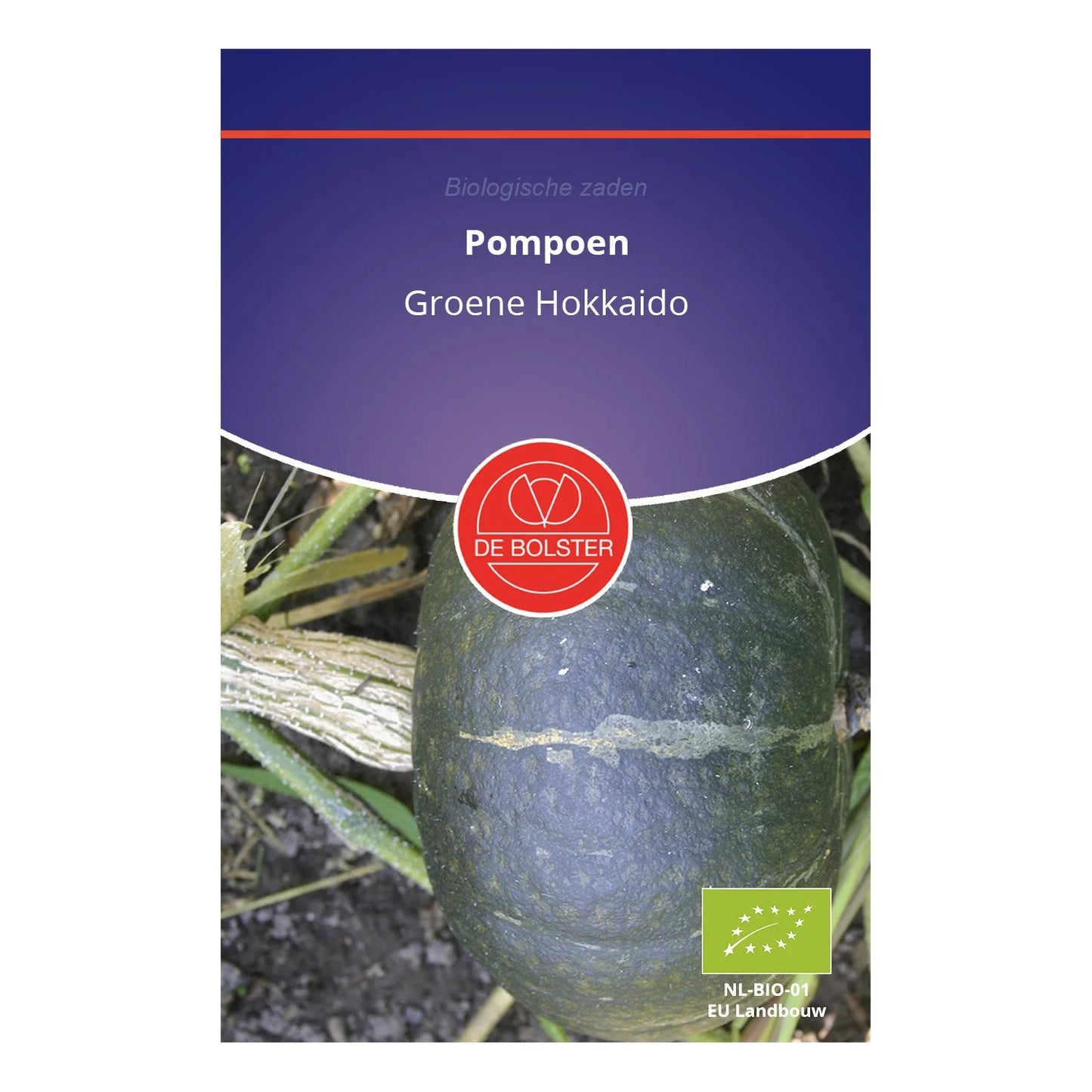 Pompoen 'Groene Hokkaido' De Bolster (Copy)