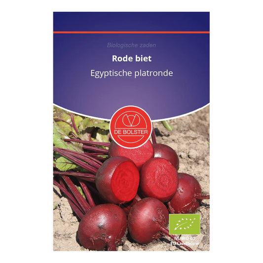 Rode Biet 'Egyptische Platronde' De Bolster
