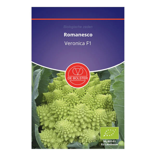 Romanesco 'Veronica F1' De Bolster