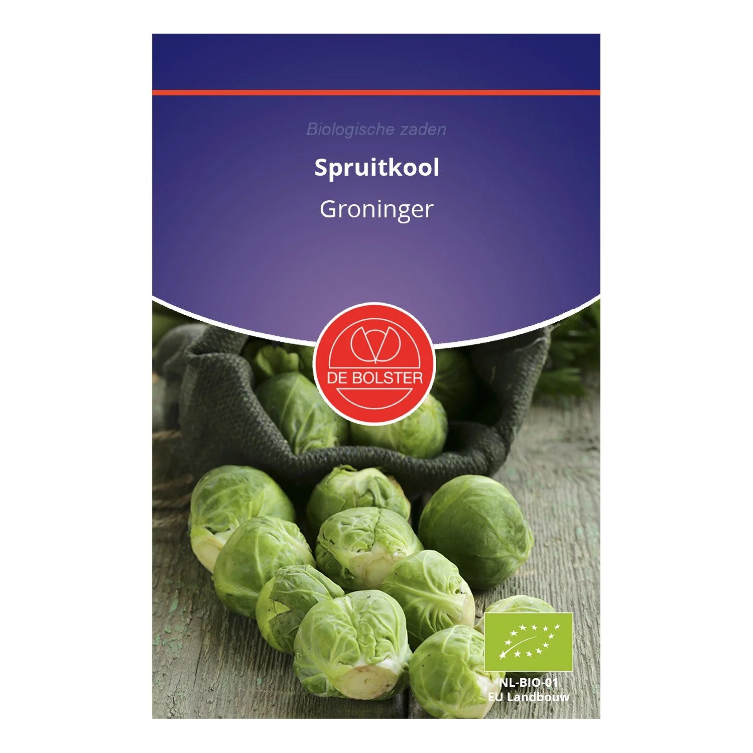 Spruitkool 'Groninger' De Bolster – Marvy Green