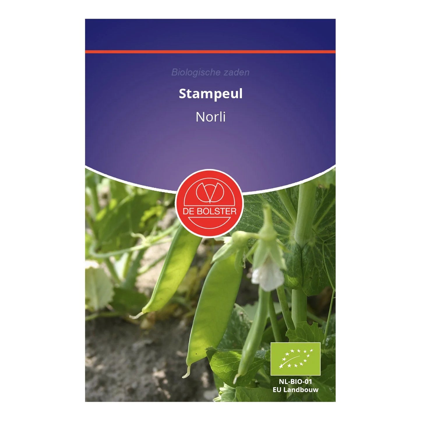 Stampeul 'Norli' De Bolster