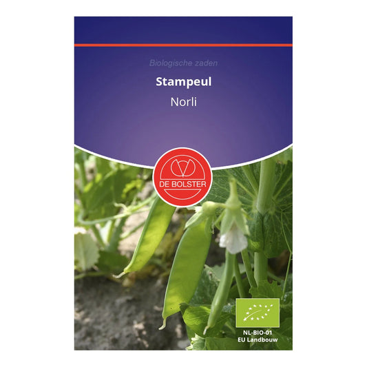Stampeul 'Norli' De Bolster