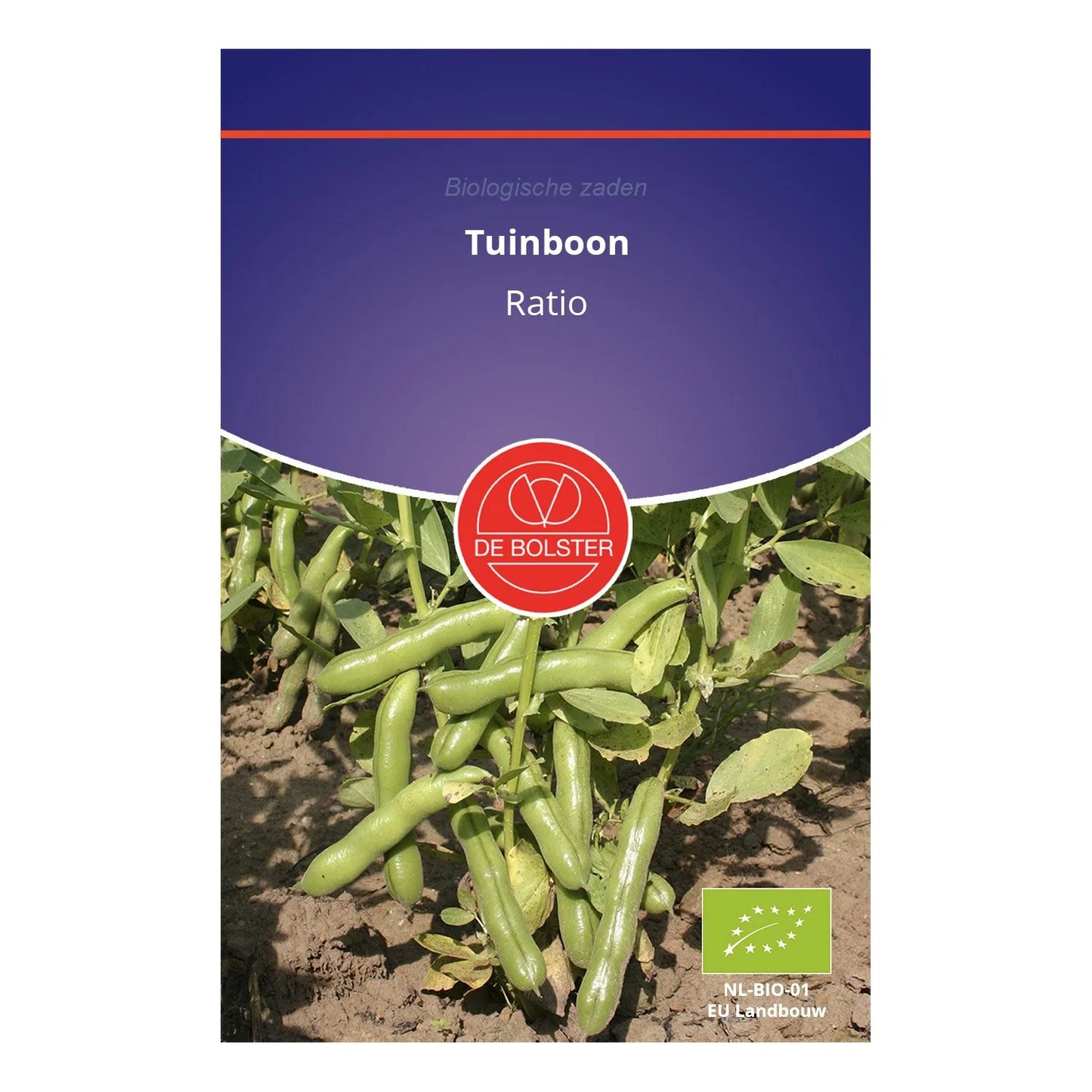 Tuinboon 'Ratio' De Bolster