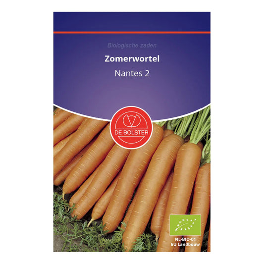 Zomerwortel 'Nantes 2' De Bolster