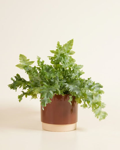 Plantenpot duo dusty terra