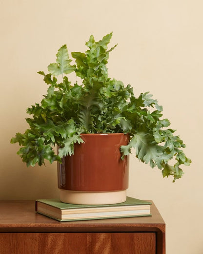 Plantenpot duo dusty terra