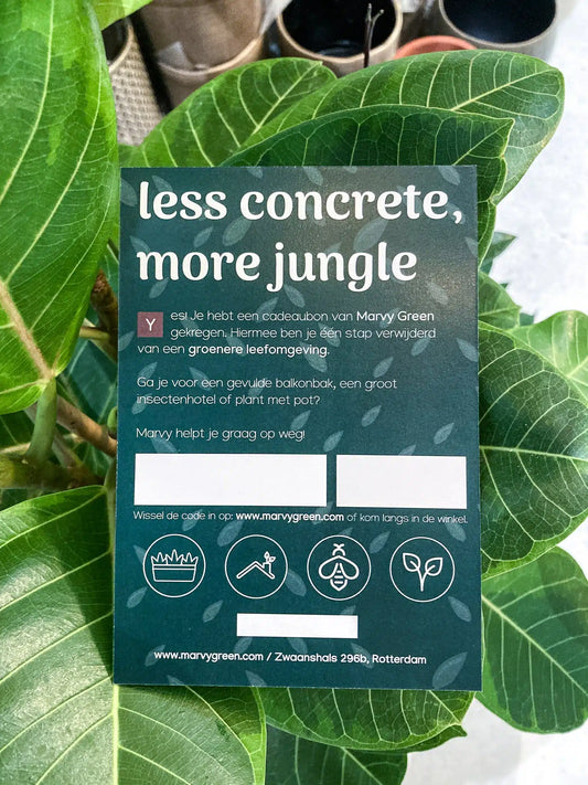 Cadeaubon (Digitaal)