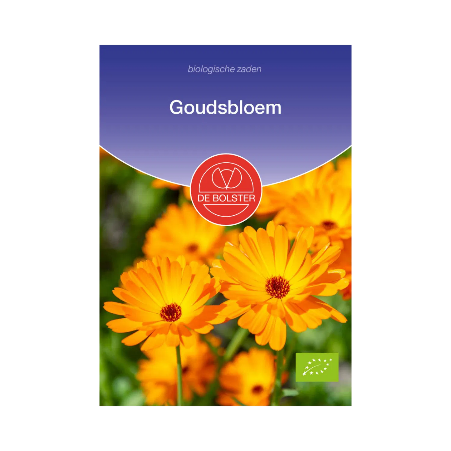 Goudsbloem De Bolster