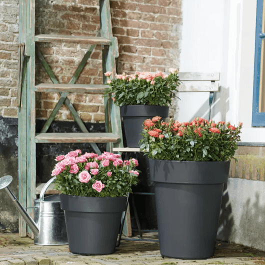Plantenpot Green Basics Top Planter Elho