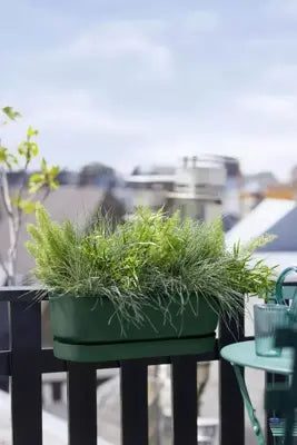Balkonbak Greenville Easy Balcony Elho