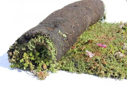 Groendak Kurkmodule EarthKweek