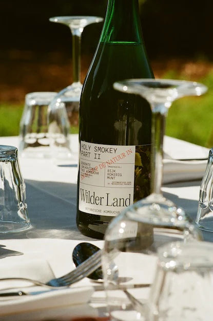 Kombucha Wilder Land