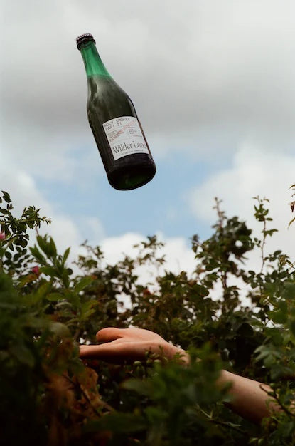 Kombucha Wilder Land