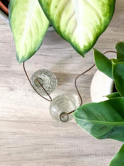 Kamerplant irrigatie Classic Blumat