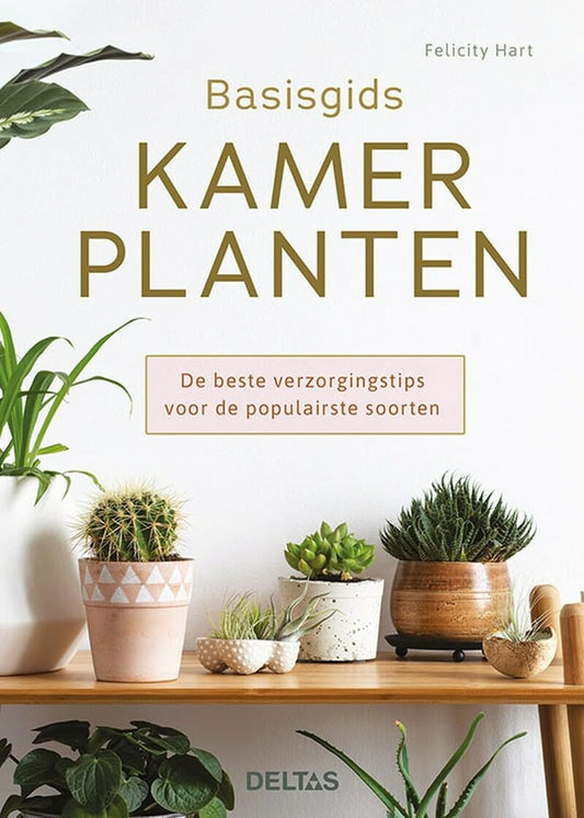 Basisgids Kamerplanten