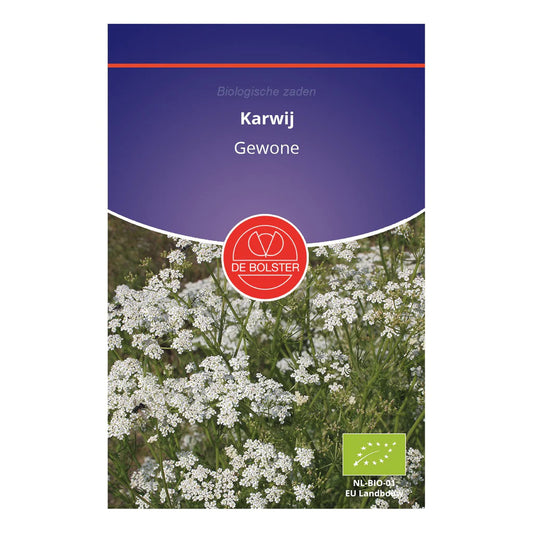 Karwij 'Carum carvi' De Bolster