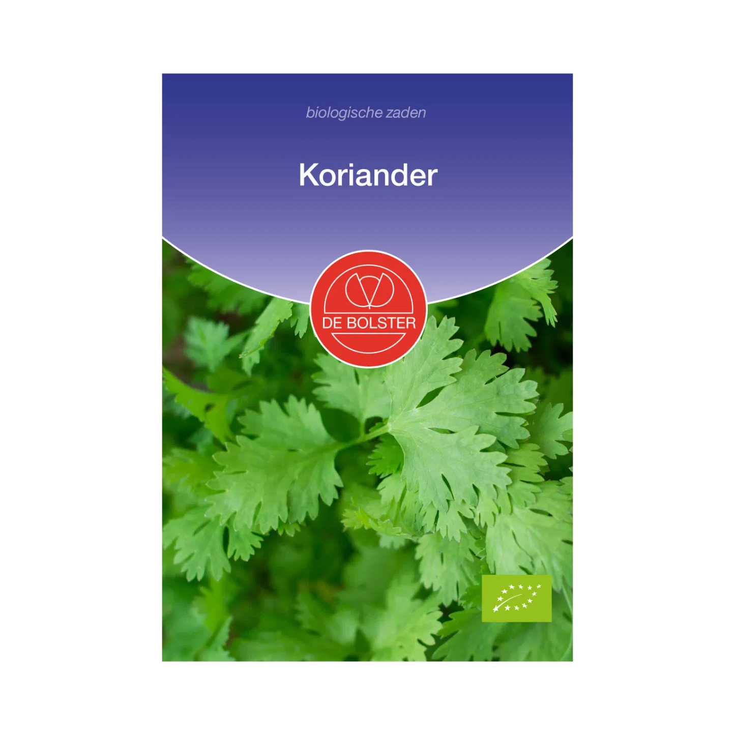 Koriander_De Bolster