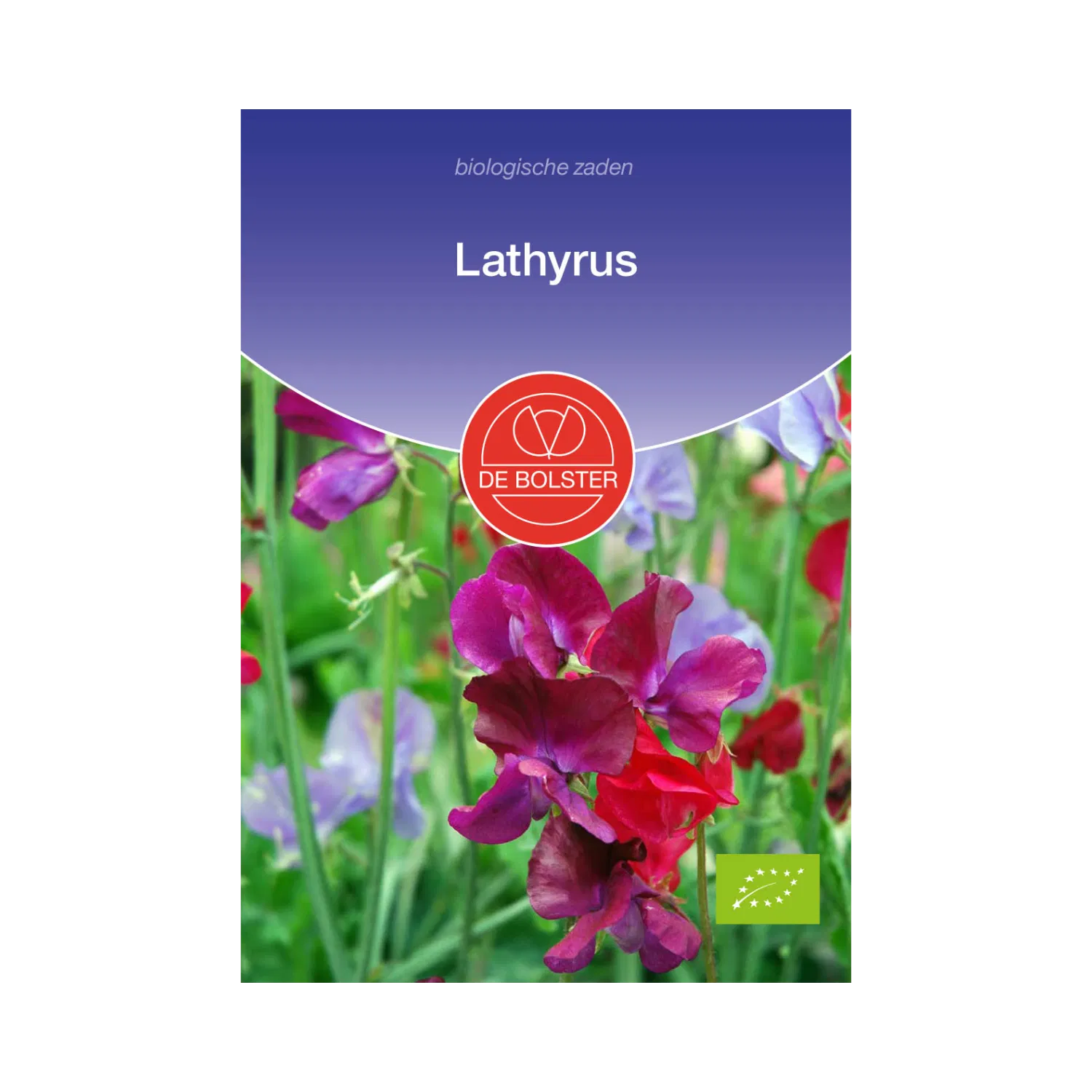 Lathyrus_De Bolster