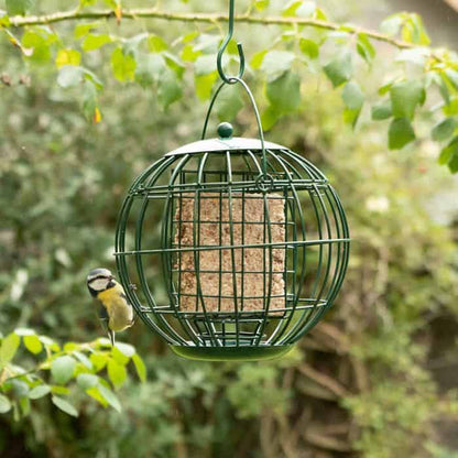 Vetblokhouder London Vogelbescherming