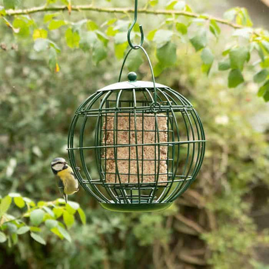 Vetblokhouder London Vogelbescherming