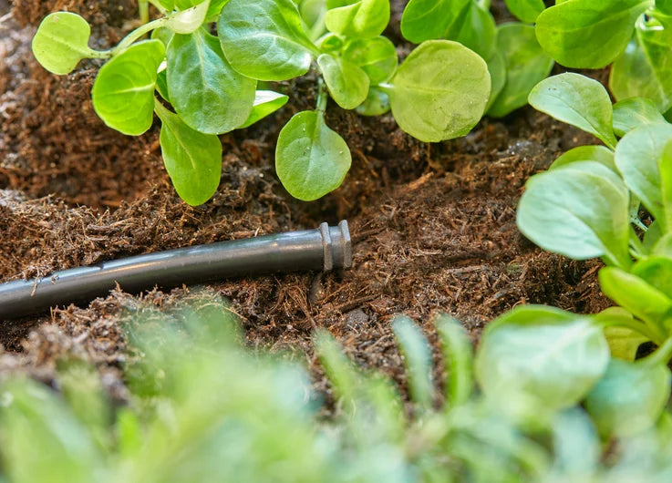 Micro-Drip Systeem Afsluitdop