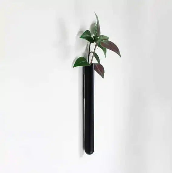 Magnetische plantenhanger voor stekjes Muurbloempjes Walleaf