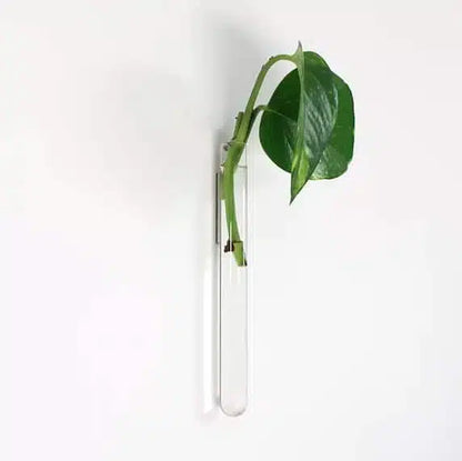 Magnetische plantenhanger voor stekjes Muurbloempjes Walleaf