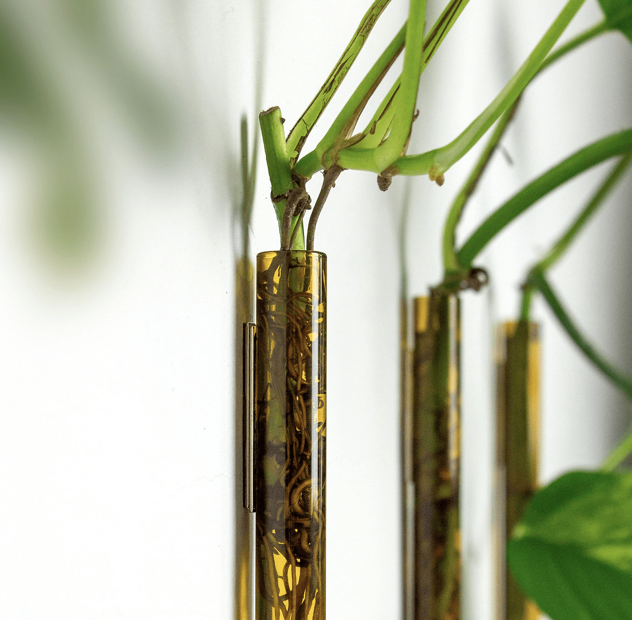 Magnetische plantenhanger voor stekjes Muurbloempjes Walleaf