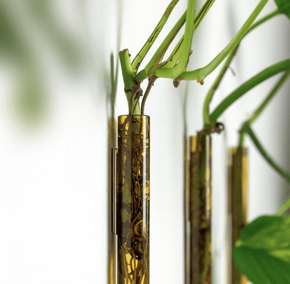 Magnetische plantenhanger voor stekjes Muurbloempjes Walleaf