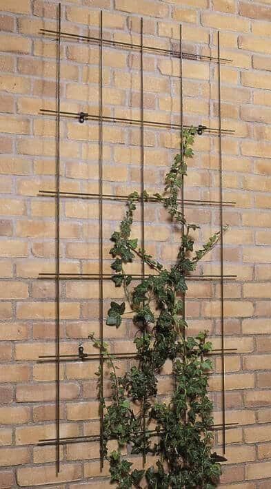 Plantenklimrek metaal groen Nature 150cm x 75cm