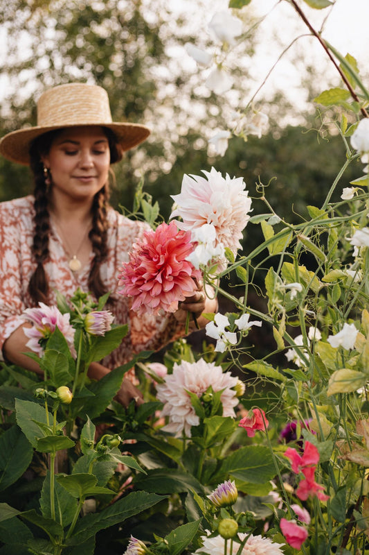 Mijn moestuin vol verwondering