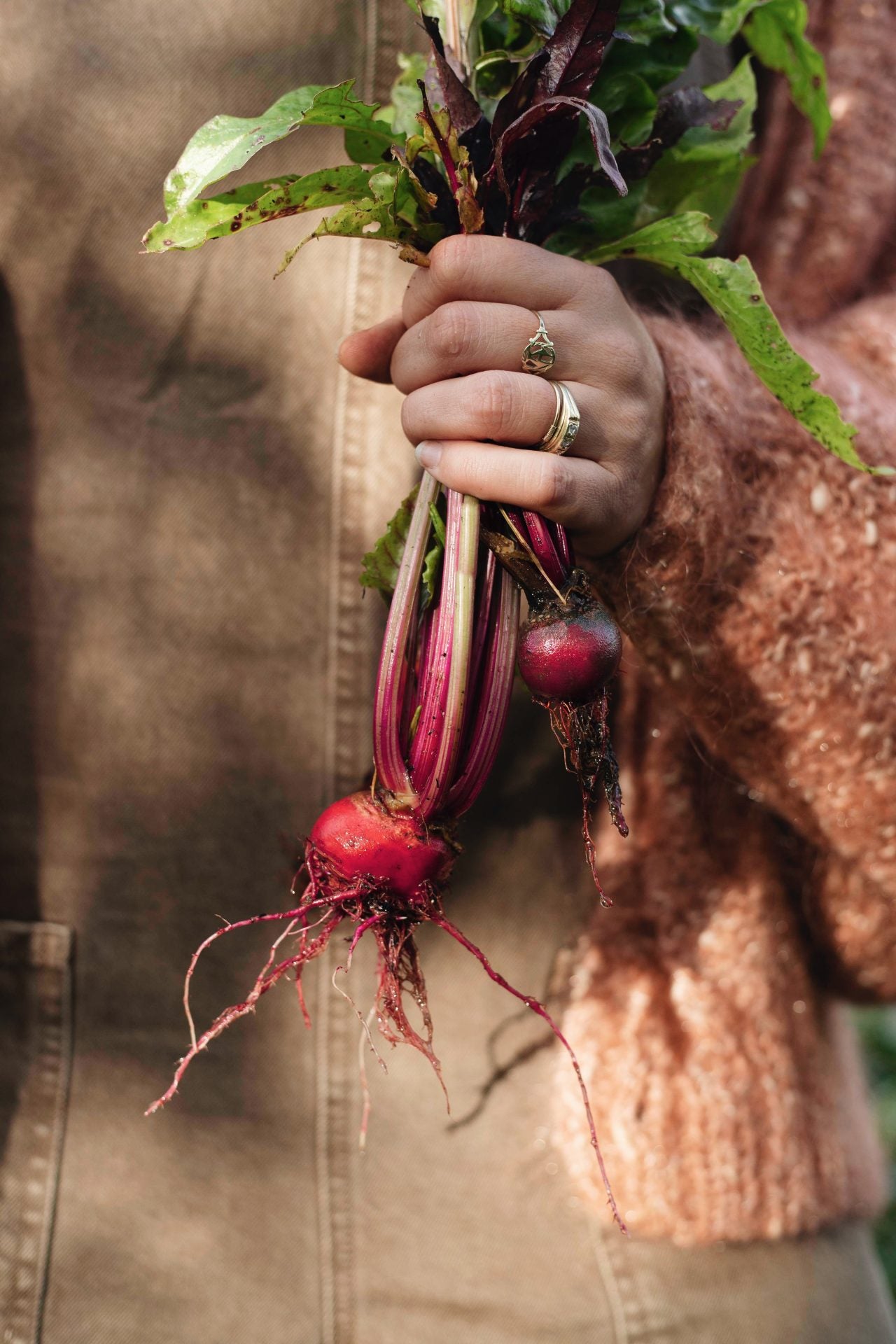 Mijn moestuin vol verwondering
