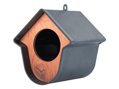 Voederhuis Evie SingingFriend