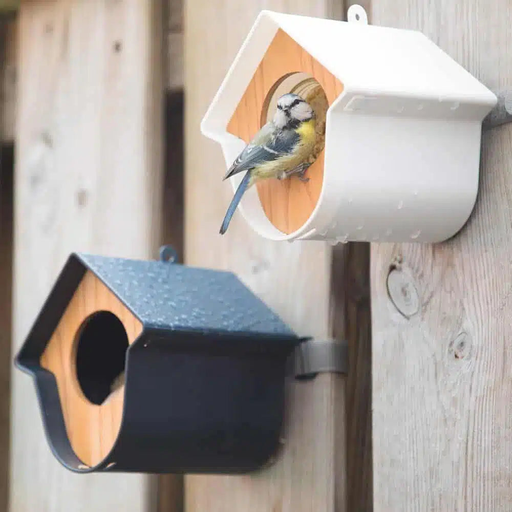 Pindakaas voor tuinvogels Vogelbescherming