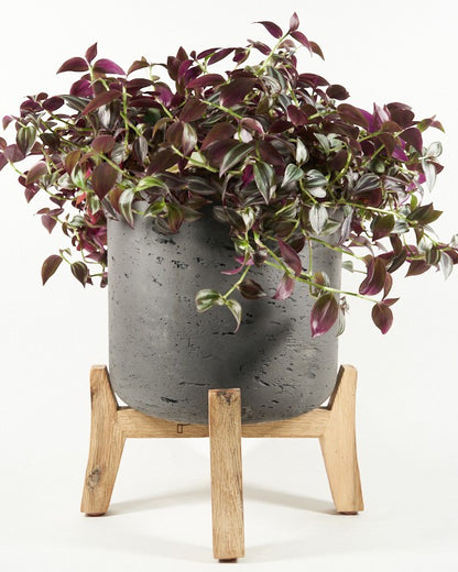 Plantenpot Charlie Pottery Pots