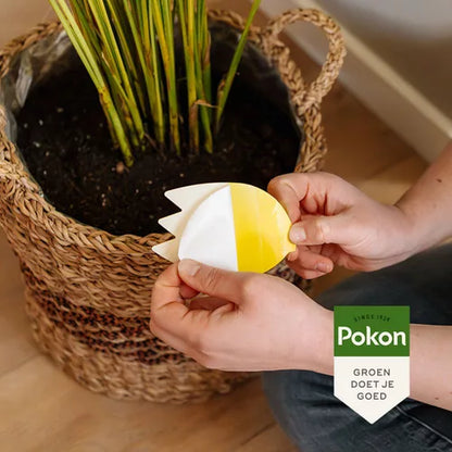 Vangplaatjes tegen rouwvliegjes biologisch (15 stuks) Pokon