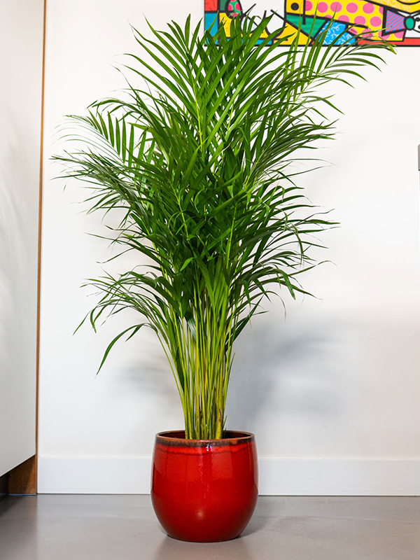 Plantenpot Charlotte Ter Steege